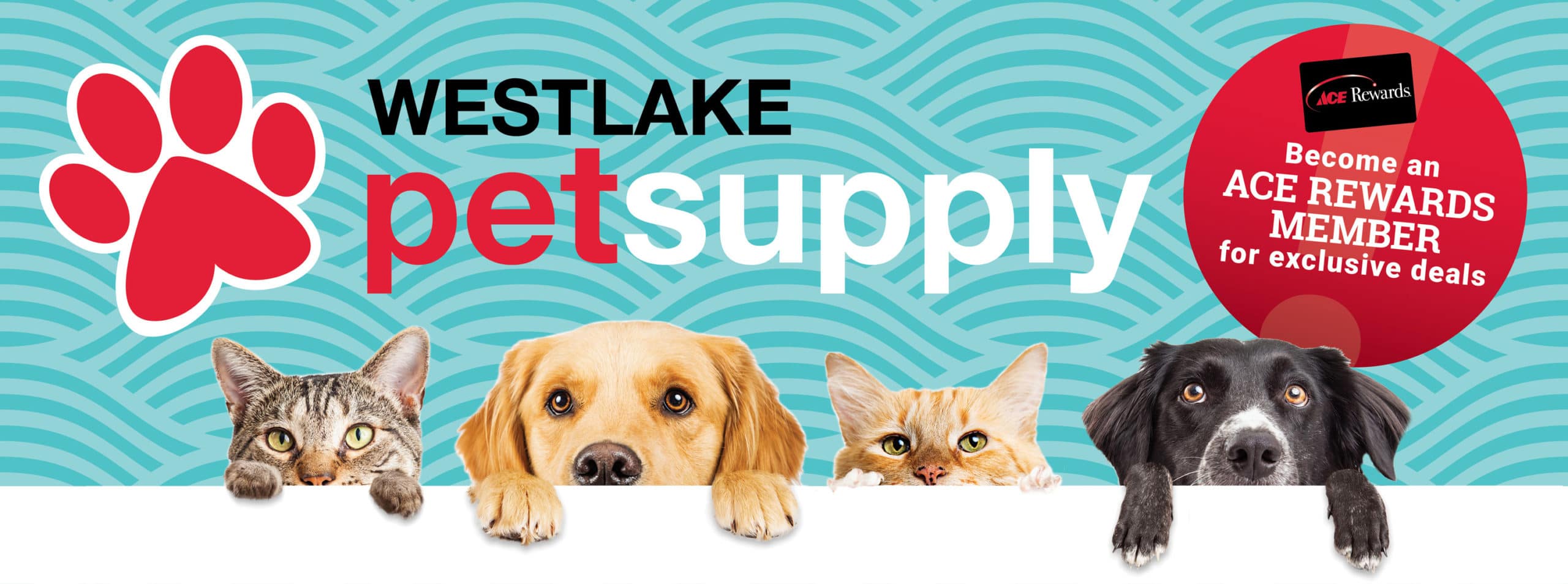 petlandingpagebanner web 1 scaled